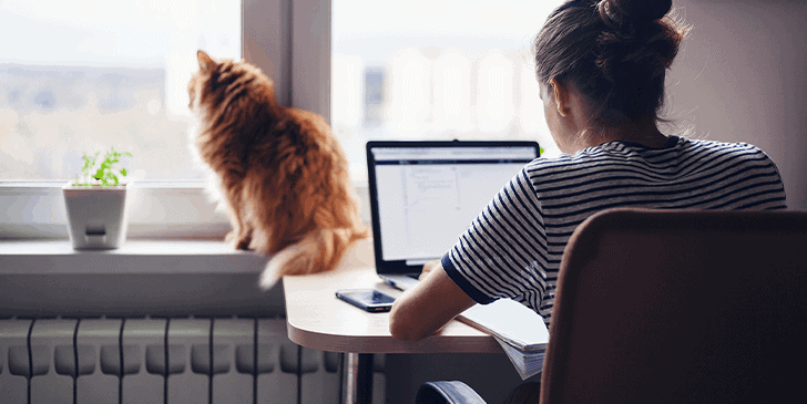 5 Remote Jobs to Get You Going Through COVID-19